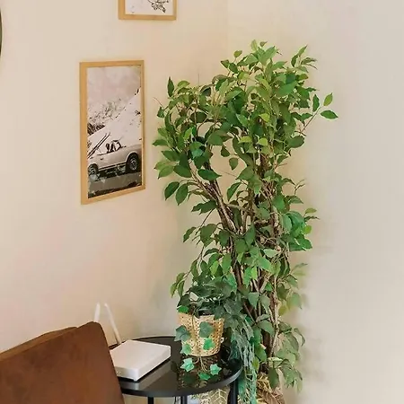 La Casita Del Arbol Apartment Sallent De Gallego